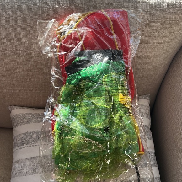 Batman and Robin Halloween Costume like new - Picture 2 of 9